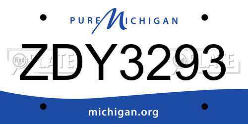 ZDY3293 Michigan License Plate