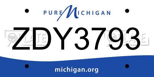 ZDY3793 Michigan License Plate