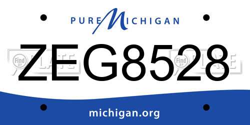 ZEG8528 Michigan License Plate