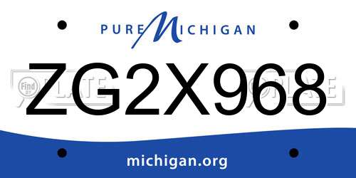 ZG2X968 Michigan License Plate