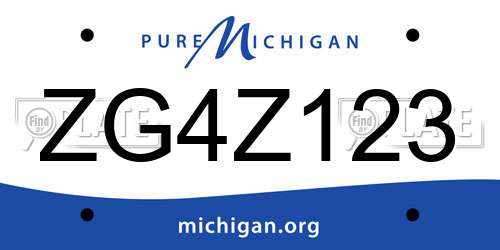 ZG4Z123 Michigan License Plate