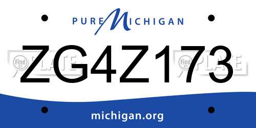 ZG4Z173 Michigan License Plate
