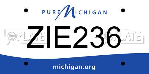 ZIE236 Michigan License Plate