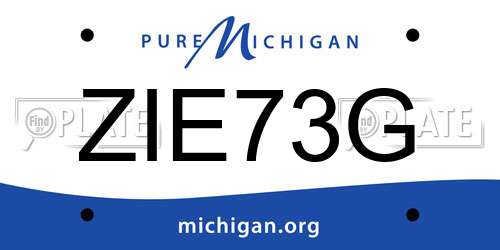 ZIE73G Michigan License Plate