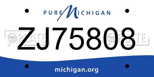 ZJ75808 Michigan License Plate