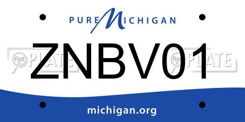 ZNBV01 Michigan License Plate
