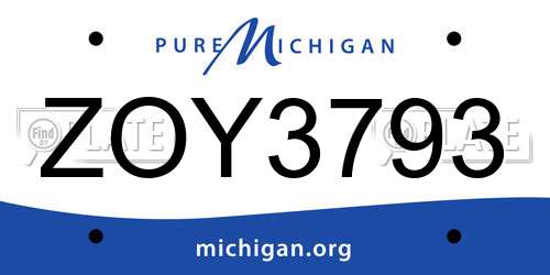ZOY3793 Michigan License Plate