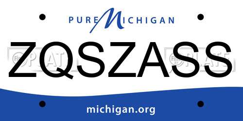 ZQSZASS Michigan License Plate