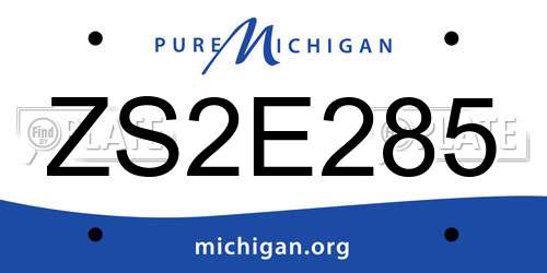ZS2E285 Michigan License Plate