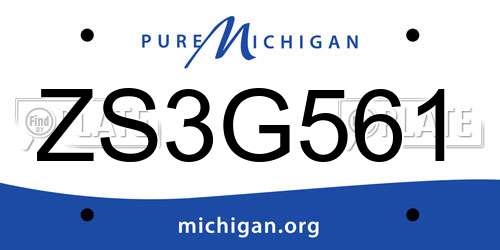 ZS3G561 Michigan License Plate