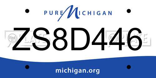 ZS8D446 Michigan License Plate