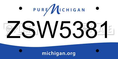 ZSW5381 Michigan License Plate