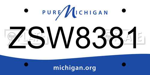 ZSW8381 Michigan License Plate