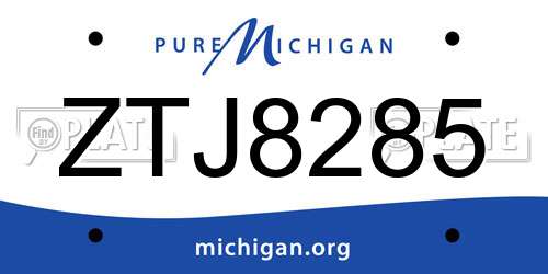 ZTJ8285 Michigan License Plate