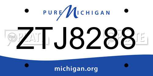 ZTJ8288 Michigan License Plate