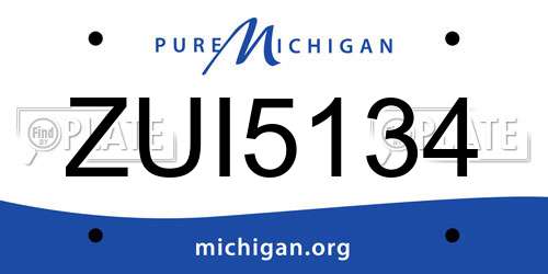 ZUI5134 Michigan License Plate