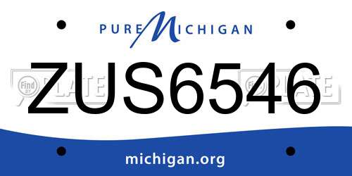 ZUS6546 Michigan License Plate