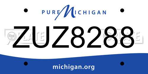 ZUZ8288 Michigan License Plate