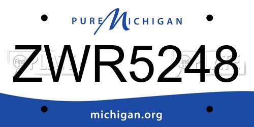 ZWR5248 Michigan License Plate