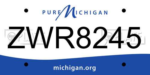ZWR8245 Michigan License Plate