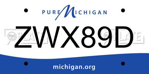 ZWX89D Michigan License Plate