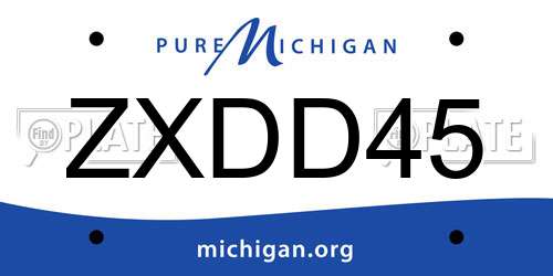 ZXDD45 Michigan License Plate