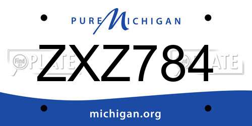ZXZ784 Michigan License Plate