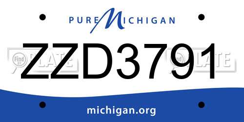 ZZD3791 Michigan License Plate