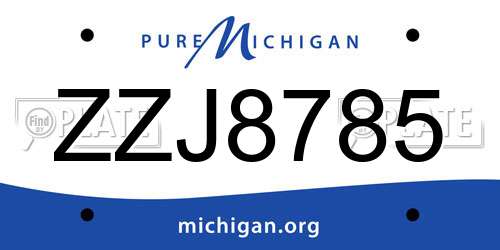 ZZJ8785 Michigan License Plate