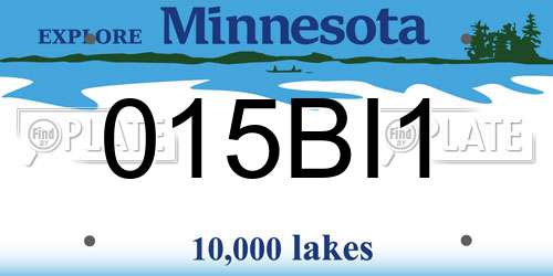 015BI1 Minnesota License Plate