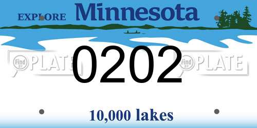 0202 Minnesota License Plate