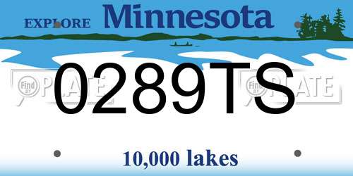 0289TS Minnesota License Plate