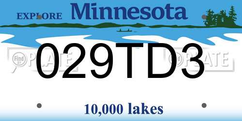 029TD3 Minnesota License Plate