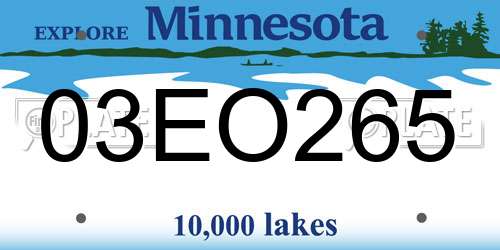 03EO265 Minnesota License Plate