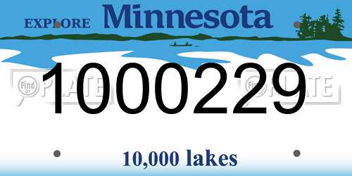 1000229 Minnesota License Plate
