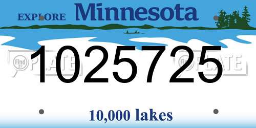 1025725 Minnesota License Plate