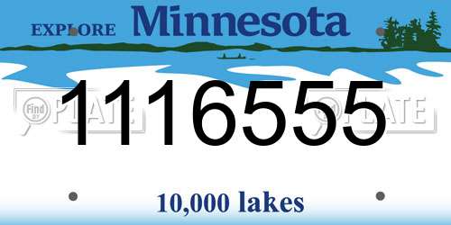 1116555 Minnesota License Plate