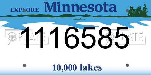 1116585 Minnesota License Plate