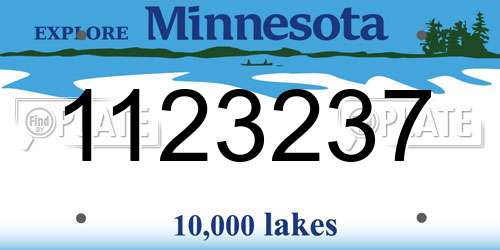 1123237 Minnesota License Plate
