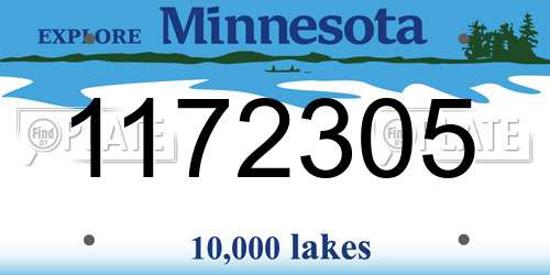 1172305 Minnesota License Plate