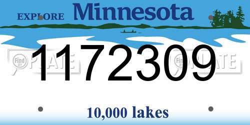 1172309 Minnesota License Plate