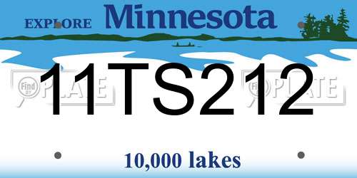 11TS212 Minnesota License Plate