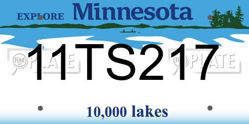 11TS217 Minnesota License Plate