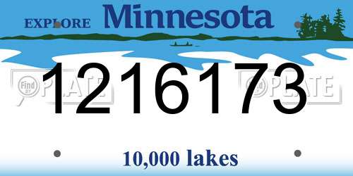 1216173 Minnesota License Plate