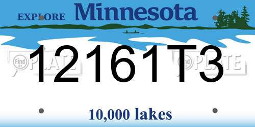 12161T3 Minnesota License Plate