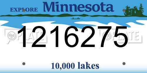 1216275 Minnesota License Plate