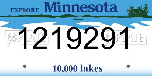 1219291 Minnesota License Plate