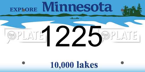 1225 Minnesota License Plate