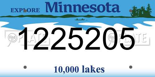 1225205 Minnesota License Plate