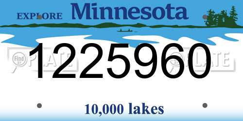 1225960 Minnesota License Plate